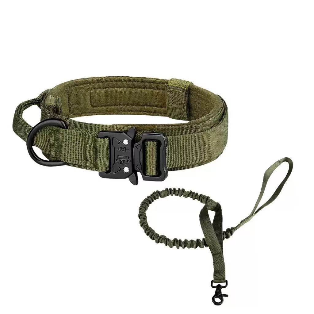 Dog's Collar